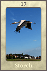 lenormand Storch